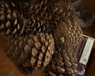 Bag of Scented Pine Cones