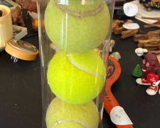 Penn Championship Tennis Balls