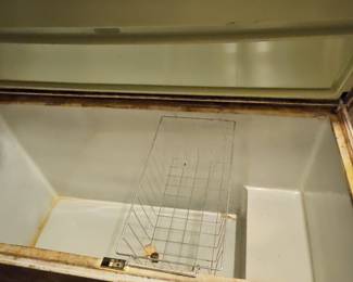 Vintage Chest Freezer