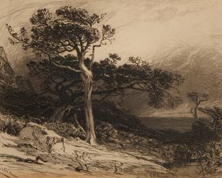 3152 James David Smillie (1833-1909) "Old Cedars - Coast of Maine," 1880 Etching on paper From the edition of unknown size Signed and titled in the plate lower left and lower center, respectively: Smillie / Old Cedars/ Coast of Maine; dated on a typed label affixed to the frame's backing board Sight: 5 x 7 in. Estimate: $100 - $150
