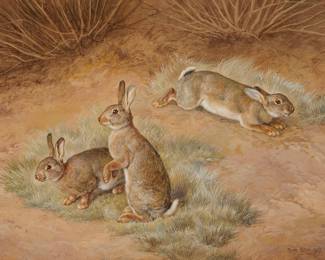 3012 Frank Paton (1856-1909) Rabbits, 1905 Watercolor on paper Signed and dated lower right: Frank Paton 1905 Sight: 21 x 29 in. Estimate: $500 - $700
