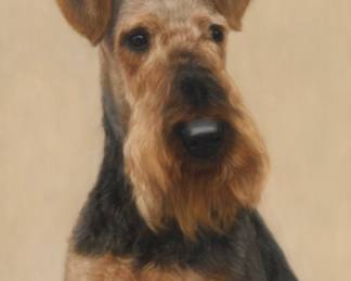 3307 Glenna Hartmann (1948-2008) "Roxann," (Welsh Terrier portrait), 1983 Pastel on paper Signed and dated lower right: Hartmann '83; titled lower left Sight: 15 x 12 in. Estimate: $600 - $800