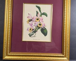 101 framedbotanicalorchidprintsvictorian