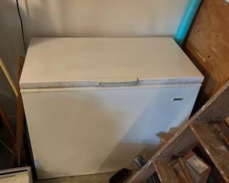 Chest Freezer (garage room)