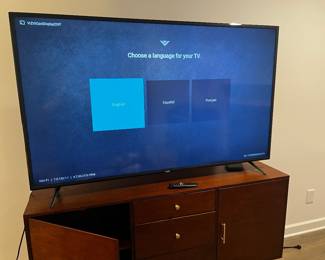Vizio Large TV