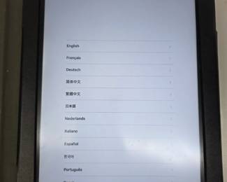 iPad 2 64GB in Flag Case – Works, Factory Reset