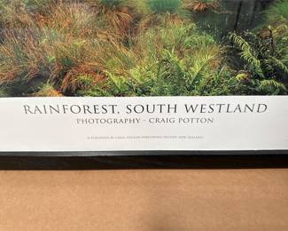 Craig Potton “Rainforest, South Westland” Framed Photographic Print (2/2)