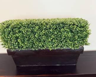 Boxwood planter. 22 1/2 L. 14 1/2 H. 6 1/4 D. Price - $12.00