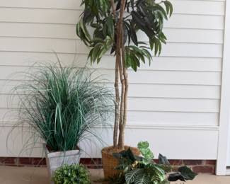 Four faux plants. Tree - 73 1/2 H. Price - $26.00