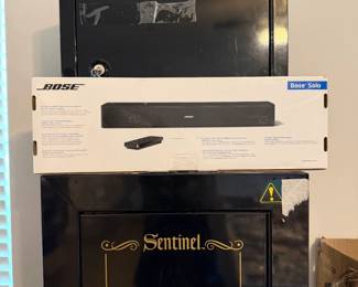 Sentinel Tall gun safe
