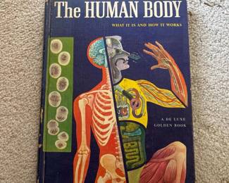 202 vintageillustratedanatomygoldenbook
