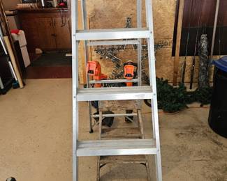 Aluminum LADDER