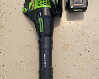 GreenWorks Blower w/ battery 