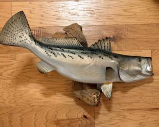Mounted fish taxidermy w/driftwood