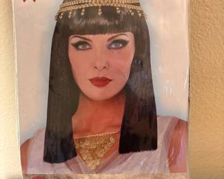 Egyptian wig - just in time for Halloween! 