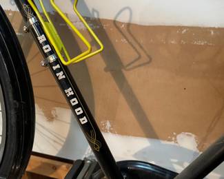 Raleigh Robinhood Bike