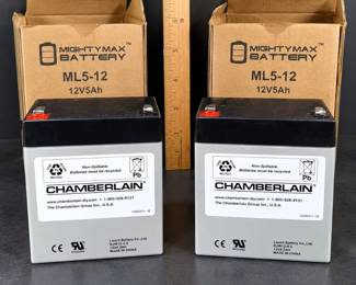 Pair Chamberlain 12V Sealed Lead Acid Batteries