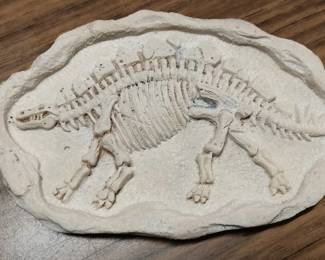 Stegosaurus Fossil Skeleton Relief Plaque