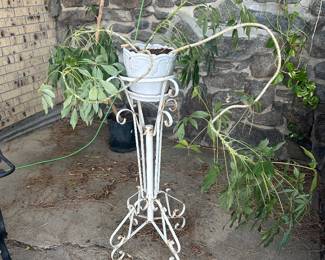 Plant, plant stand