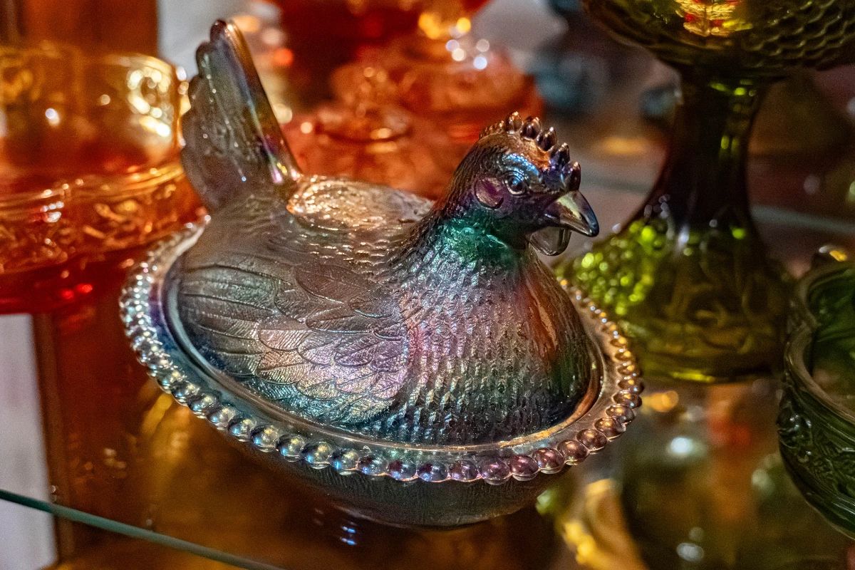 Hen on Nest
