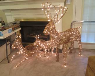 deer lit up