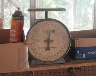 Scale