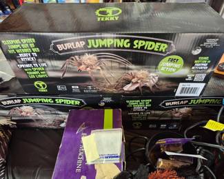 New in box Burlap Jumping Spiders!