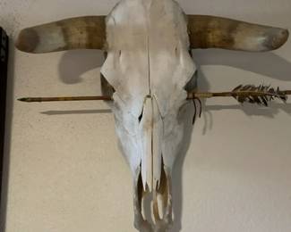 Cow Skull