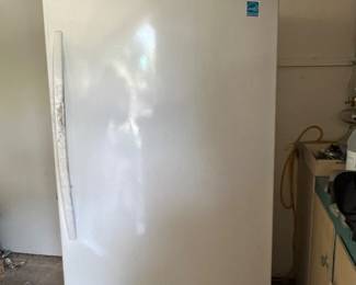 This is a large freezer
