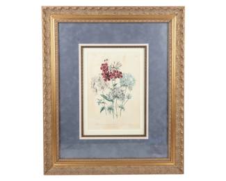 Day and Haghe Hand-Colored Botanical Lithograph