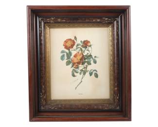 P. J. Redoute Wild Rose Framed Botanical Print
