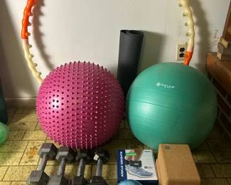 Exercise Equipment Lot