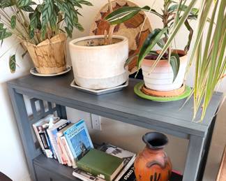 Live potted plants and open console table