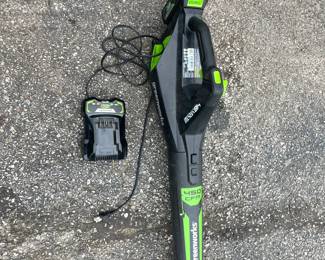 Green works blower condition unknown