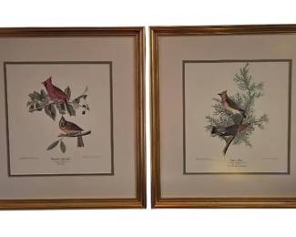 Framed Prints Audubons Cedar Bird Cardinal Grosbeak