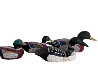 Duck And Loon Collection