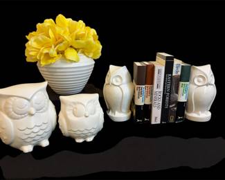 White Ceramic Owls, Books Flowers