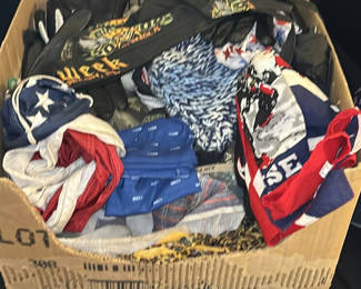 Lot 35: Assorted Hats, Beanies, Scarves, Gloves, and Bag