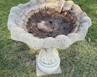 Scalloped Concrete Birdbath