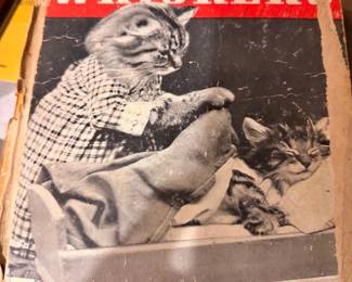 111whiskers