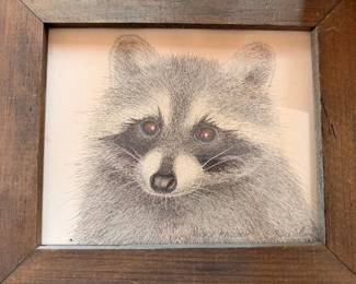 106racoon