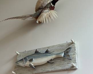taxidermy