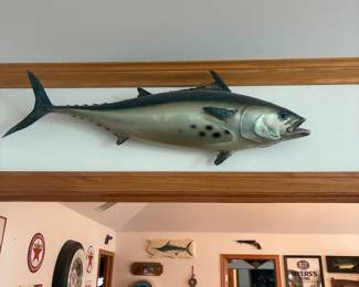 taxidermy fish