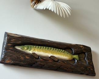 taxidermy