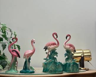flamingos