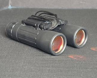 Generic 10x25 Compact Binoculars