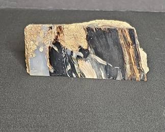 Polished Petrified Wood Slab