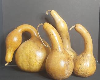 Dried Decorative Lagenaria Gourds - Set of Four