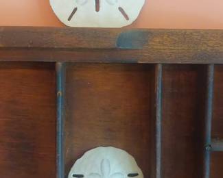Vintage Wooden Typesetter's Drawer with Sand Dollars