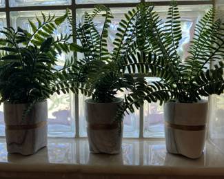 ARTIFICIAL FERNS